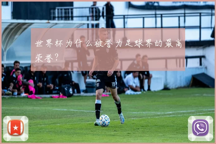 世界杯为什么被誉为足球界的最高荣誉？