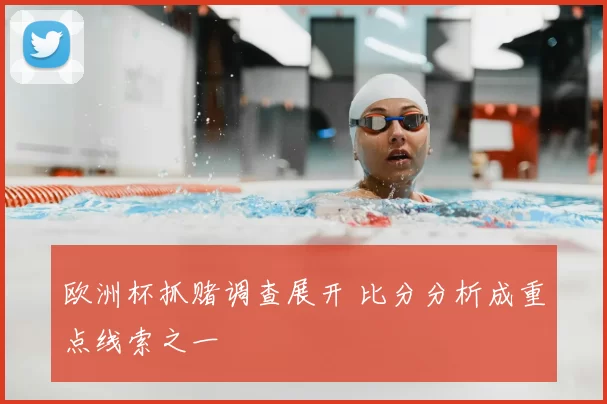 欧洲杯抓赌调查展开 比分分析成重点线索之一