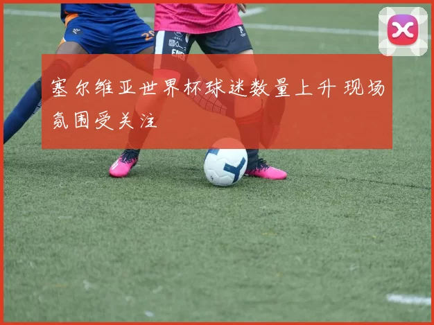 塞尔维亚世界杯球迷数量上升 现场氛围受关注