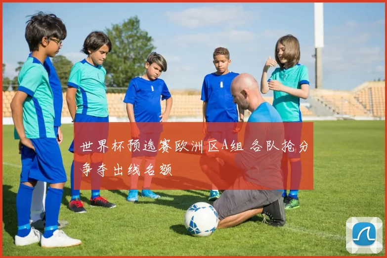 世界杯预选赛欧洲区A组 各队抢分争夺出线名额