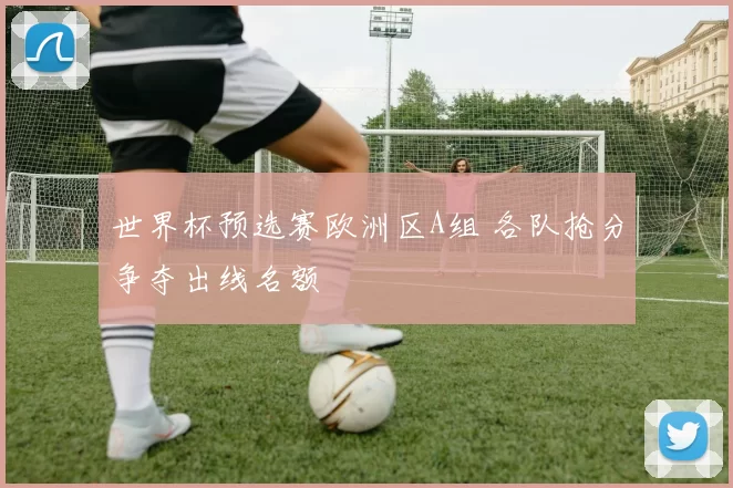 世界杯预选赛欧洲区A组 各队抢分争夺出线名额
