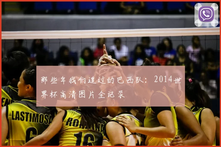 那些年我们追过的巴西队:2014世界杯高清图片全记录