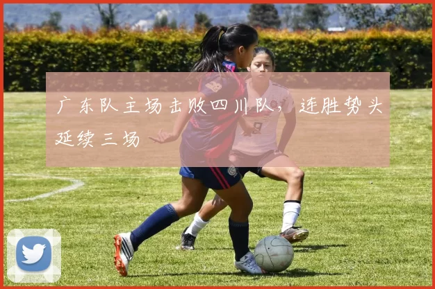 广东队主场击败四川队,连胜势头延续三场