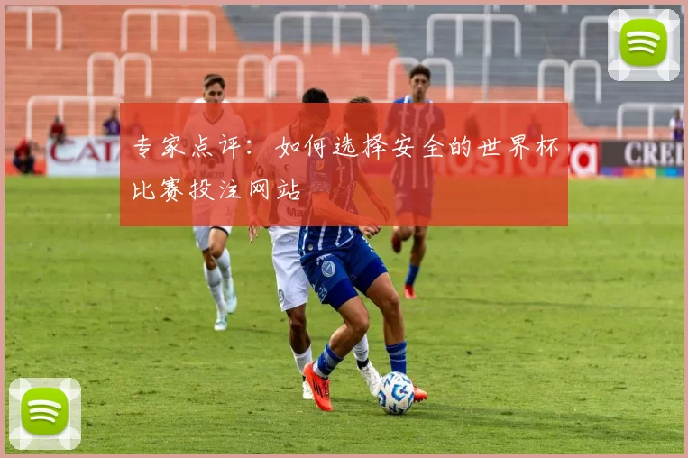 专家点评:如何选择安全的世界杯比赛投注网站