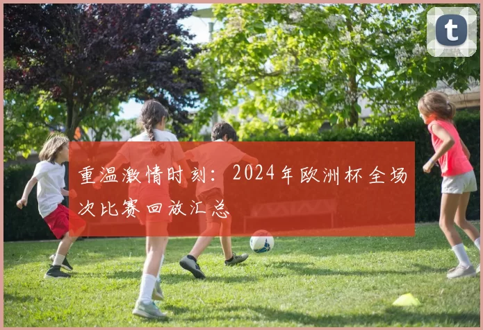 重温激情时刻:2024年欧洲杯全场次比赛回放汇总