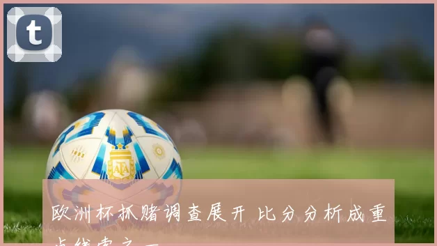 欧洲杯抓赌调查展开 比分分析成重点线索之一