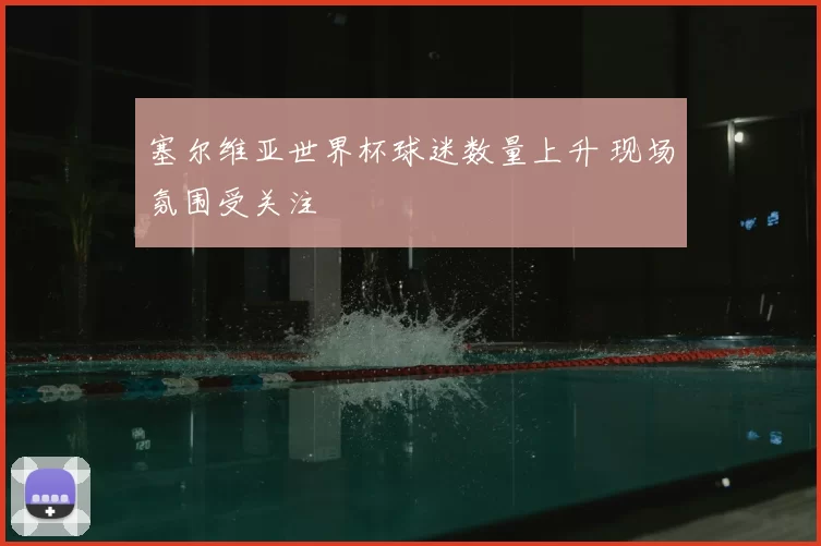 塞尔维亚世界杯球迷数量上升 现场氛围受关注