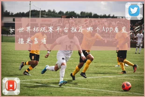 世界杯观赛平台推荐 哪个App看直播更靠谱