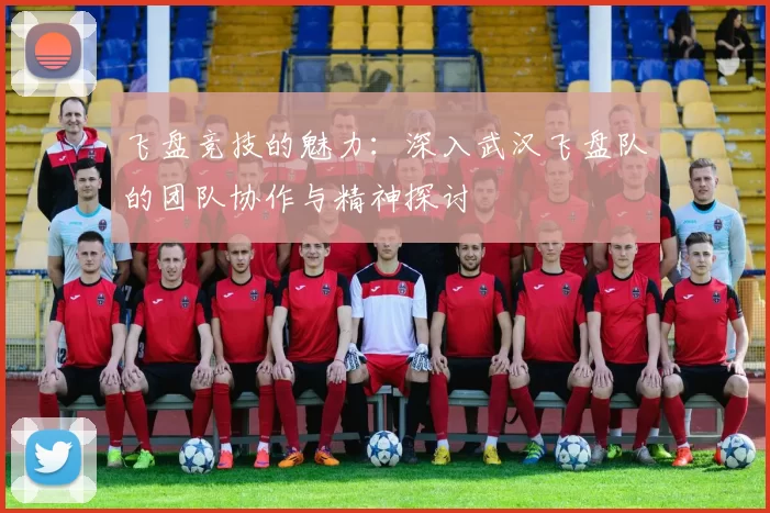 飞盘竞技的魅力:深入武汉飞盘队的团队协作与精神探讨