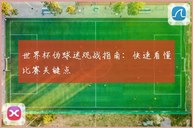 世界杯伪球迷观战指南:快速看懂比赛关键点