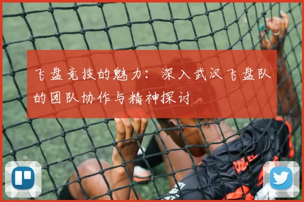 飞盘竞技的魅力:深入武汉飞盘队的团队协作与精神探讨