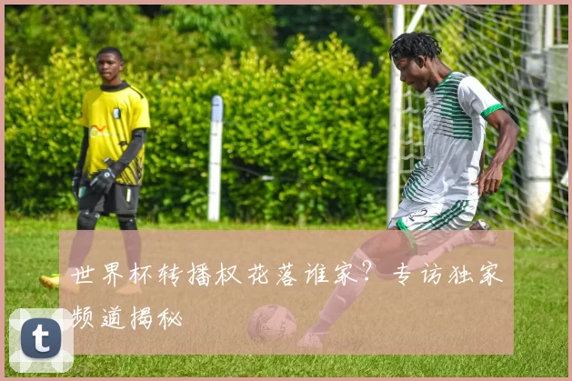 世界杯转播权花落谁家？专访独家频道揭秘