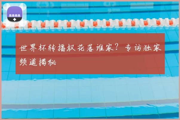 世界杯转播权花落谁家?专访独家频道揭秘